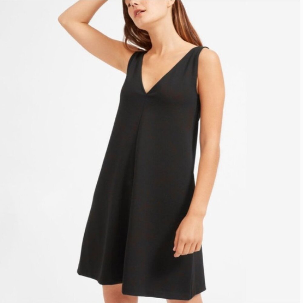 Everlane The Deep V-Neck A-Line Dress